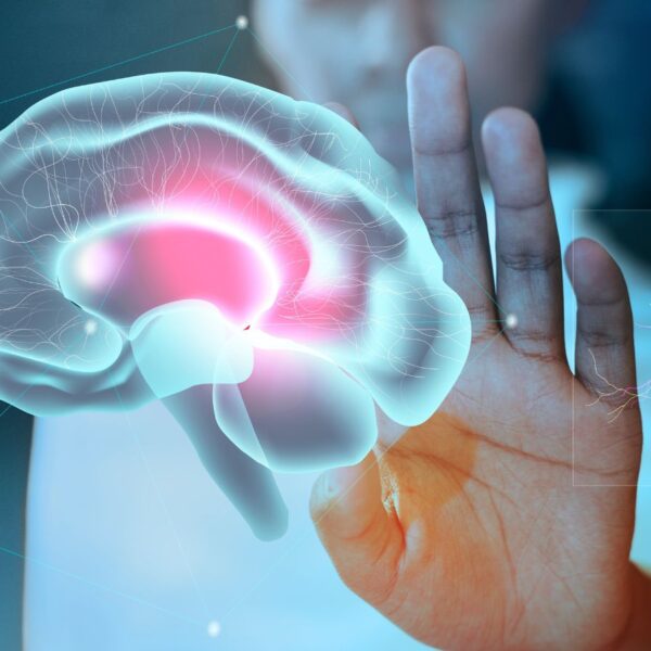 X-ray visualization of human brain neural connections illustrating CB1 receptor signaling and cannabis tolerance mechanisms.