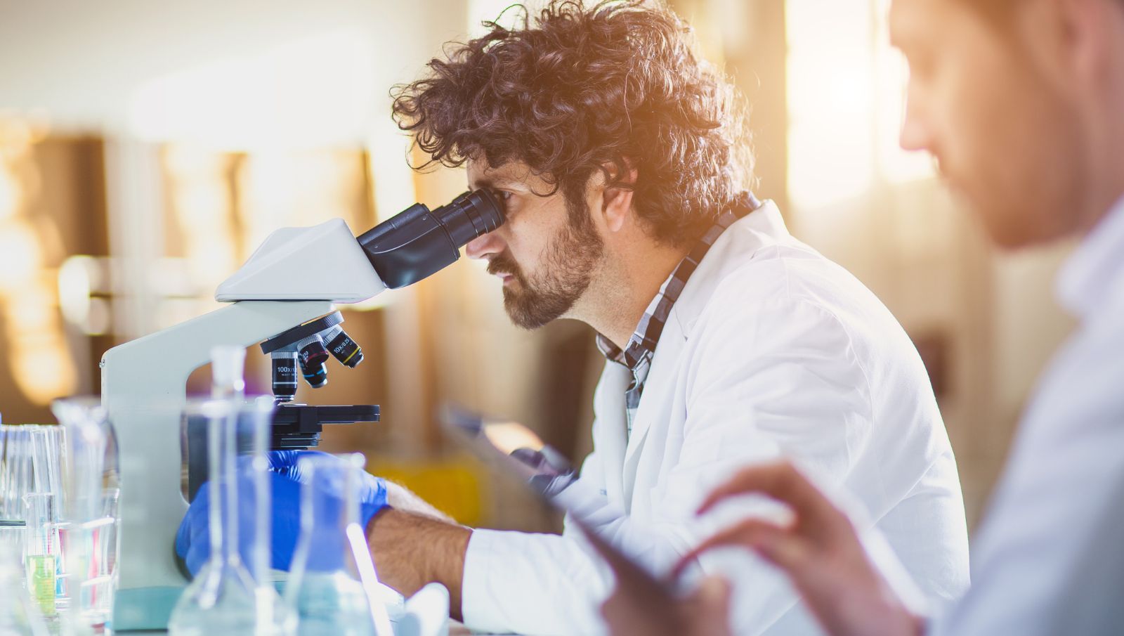 Laboratory analyst examining medical cannabis samples under a microscope for certificate of analysis testing